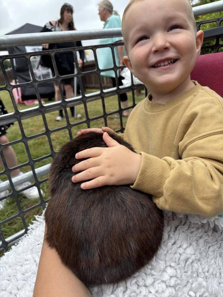 Save Six Bells Summer Fayre 2025 Petting Farm