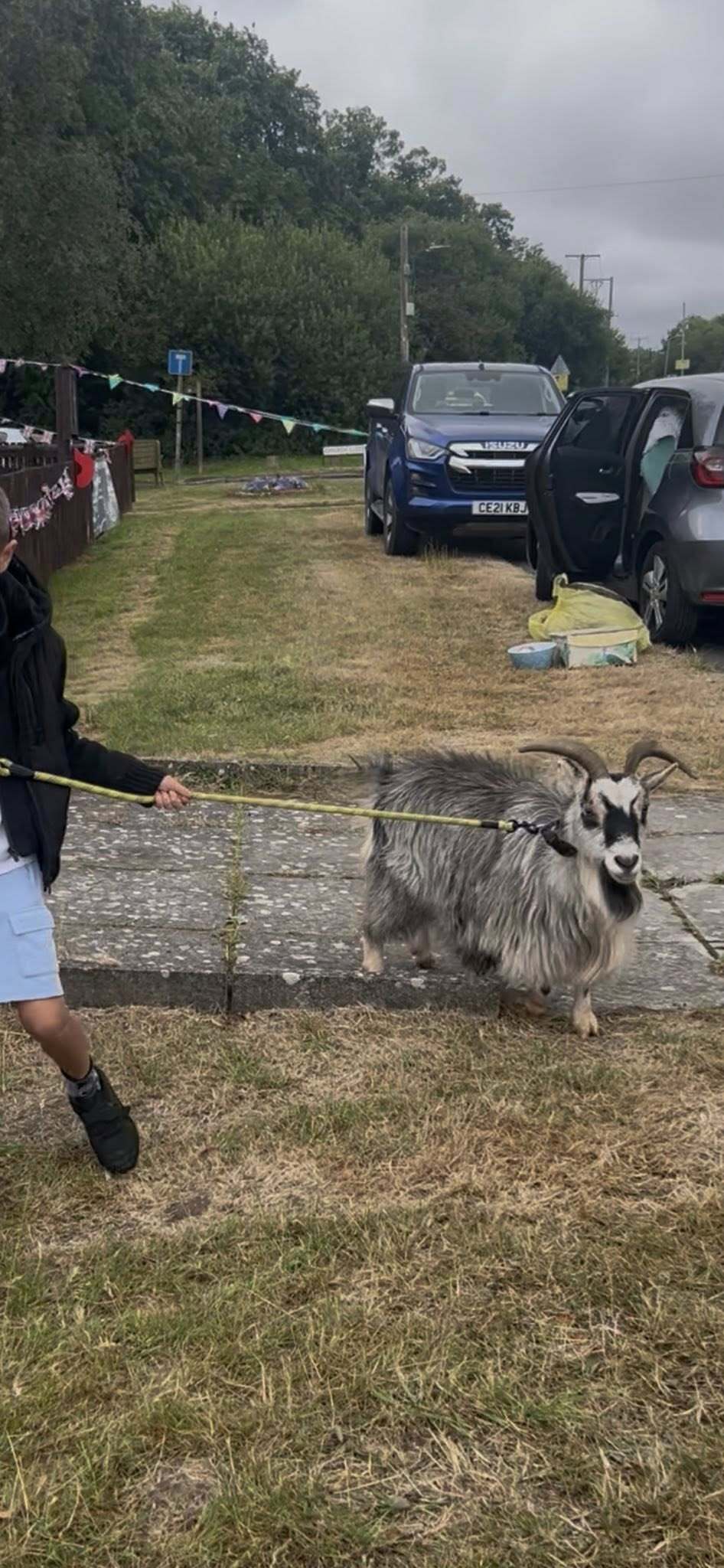 Save Six Bells Summer Fayre 2025 Petting Farm Goat