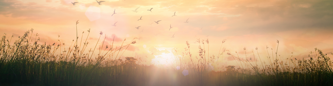 Save the Six Bells Blog Post Header Sunrise